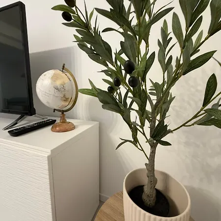 Modern Living - Im Grund 2 Spaichingen
